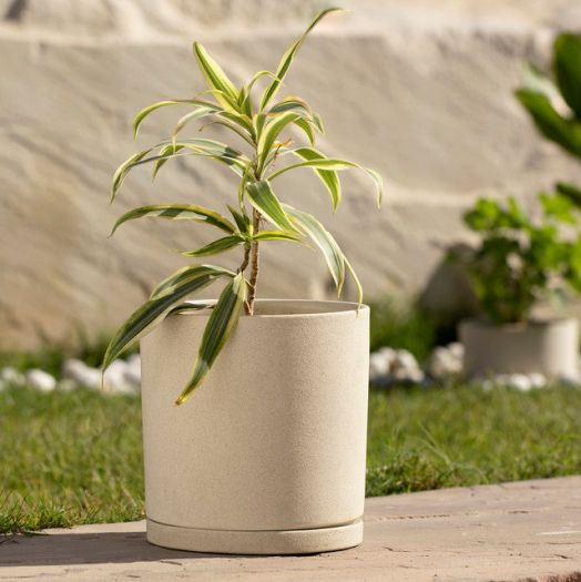 Ort Ceramic Planter (Tall)