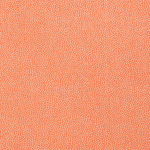 TURINI DOTS,Non Woven Wallpaper