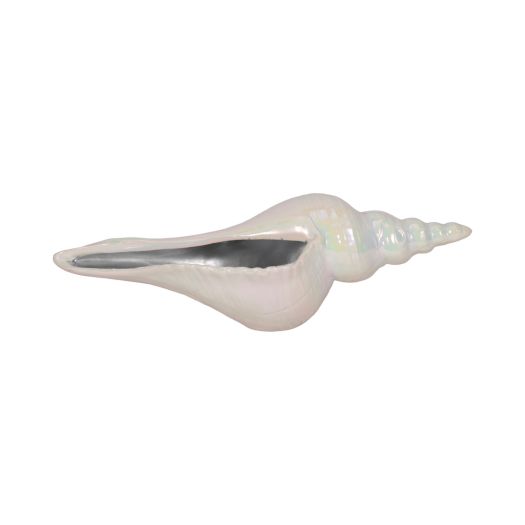 12 Long Iridescent Seashell With Silver, Ivory/si