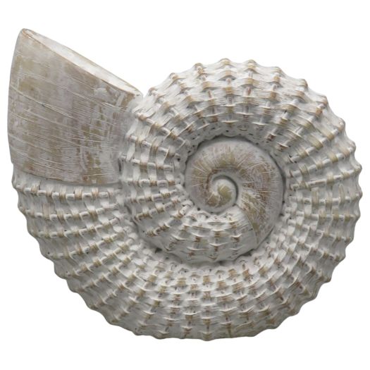 12x11 Woven Shell Decor, White