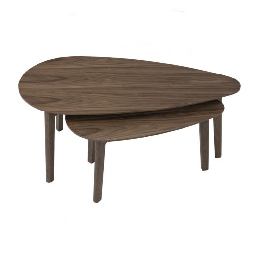 PANRA SET OF 2 COFFEE TABLE 