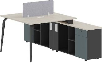 Dual workstation