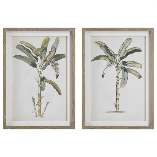 Banana Palm Framed Prints, S/2