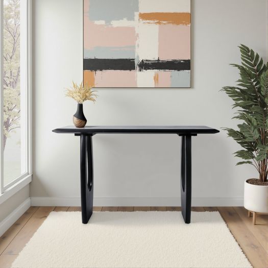51x32 Modern Mid-century Console Table, Blk 2bxs
