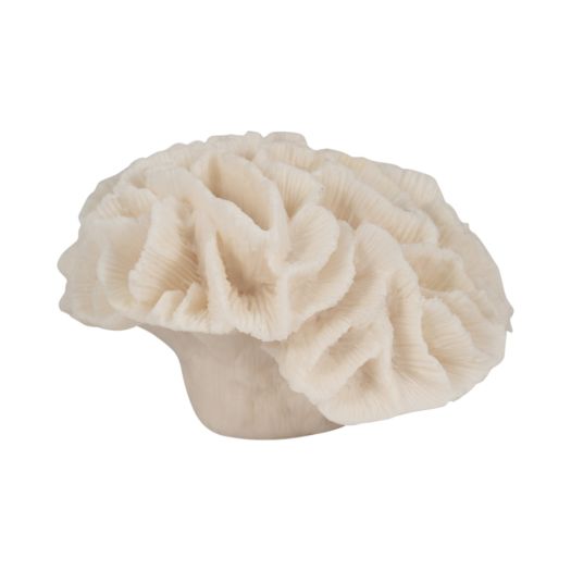 6 Petal Coral, Ivory