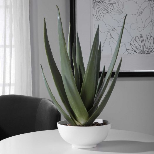 EVARADO ALOE PLANTER