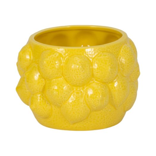 7 Lemons Flower Pot, Yellow