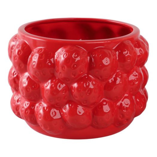 8 Strawberries Flower Pot, Red