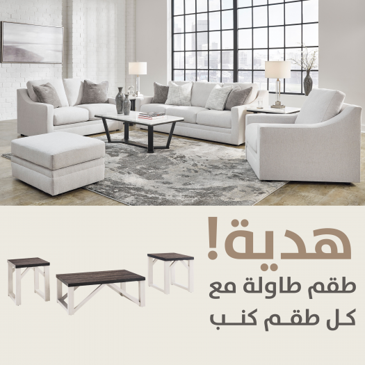 4820 WITH FREE T236-13