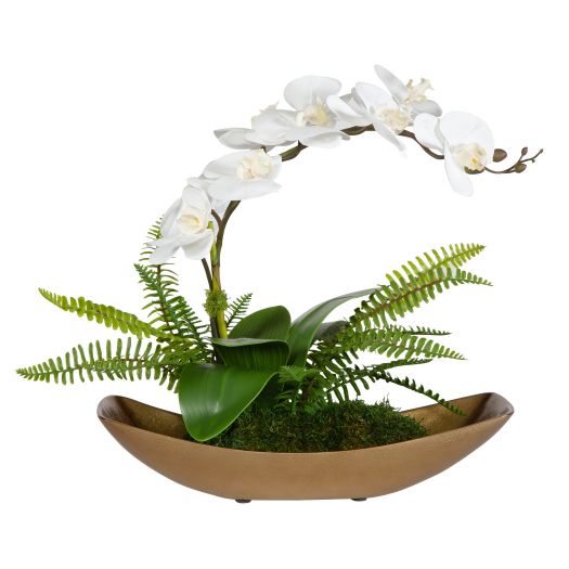 Transcend Orchid Centerpiece