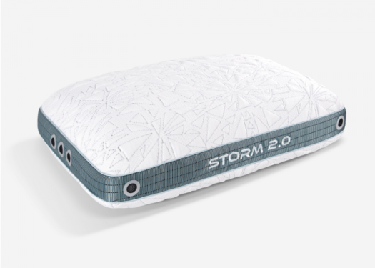 Storm 2022 Pillow 2.1