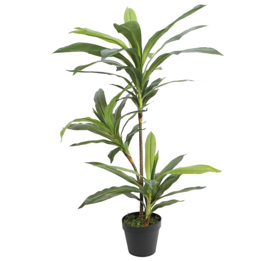 Artificial Dracaena Plant