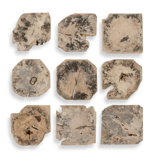 Bahati Wood Wall Decor, Bleached, S/9