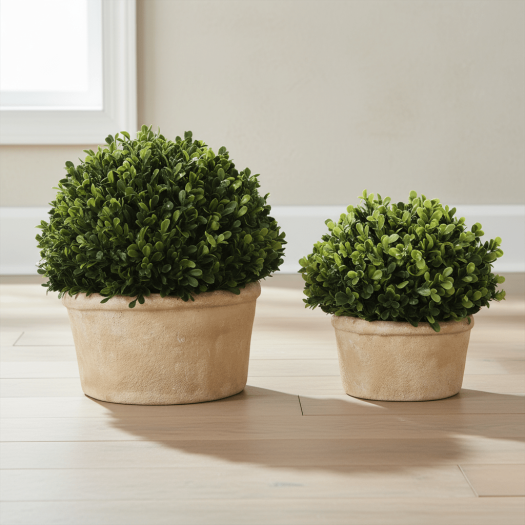 BOXWOOD NATURAL STYLE OVAL SHAPEL S/2