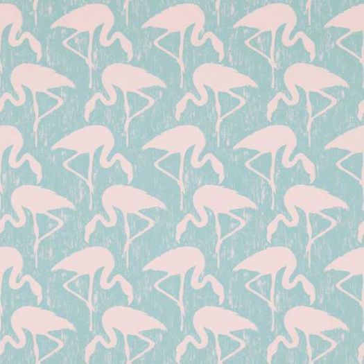 Flamingos