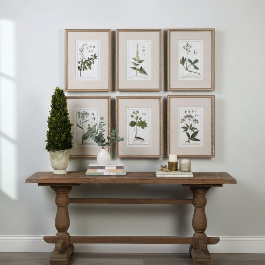 Green Floral Botanical Study Framed Prints, S/6