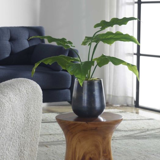 Mari Calla Lily Accen