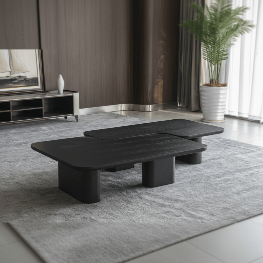 Moyn Coffee Table