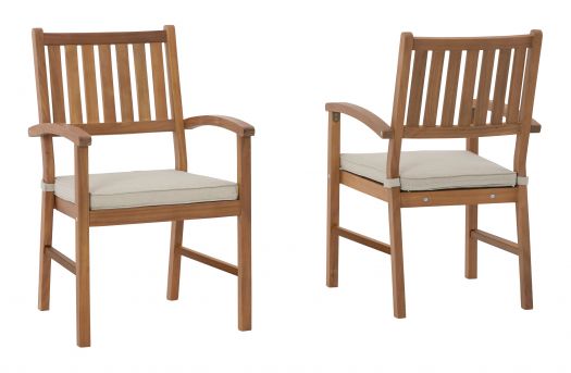 Janiyah Outdoor Dining Arm Chair (Set Of 2)