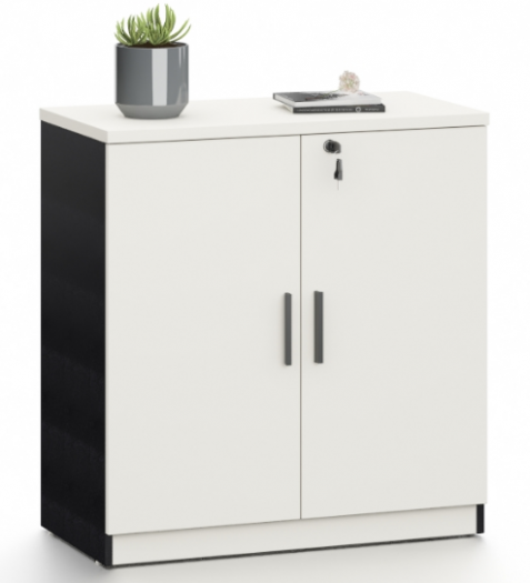 Secretary Low Cabinet