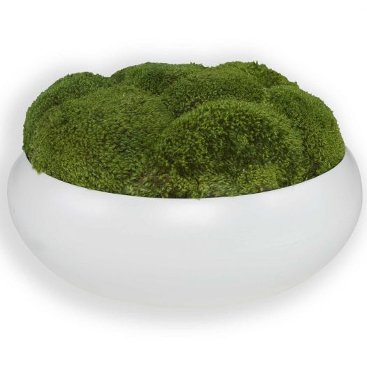 Gratia Moss Centerpiece