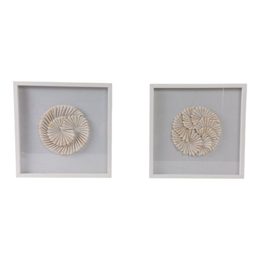 S/2 20x20 Atlantic Shell Shadowbox Art