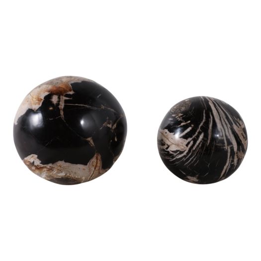 S/2 5/6 Petrified Wood Orbs, Black