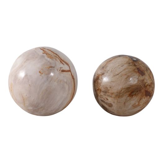 S/2 5/6 Petrified Wood Orbs, Ivory