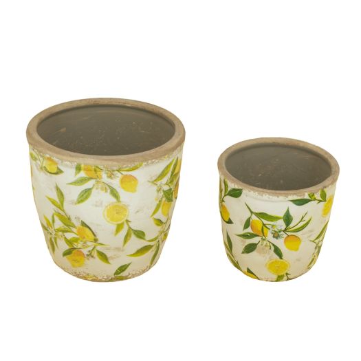 S/2 Lemon Pattern Planters