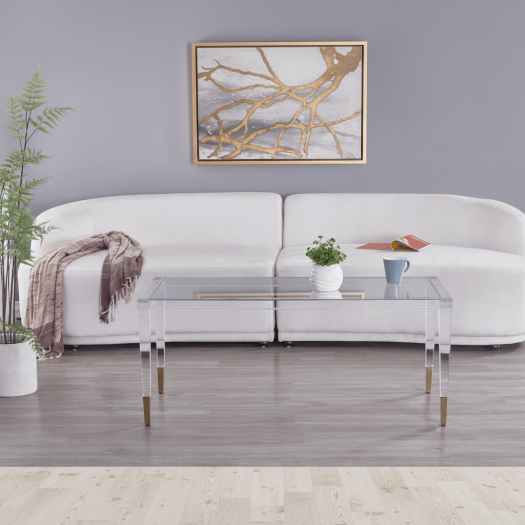 Simple Acrylic Coffee Table