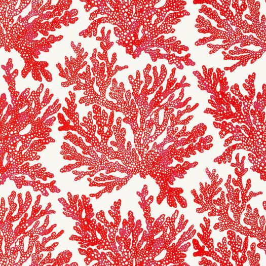 MARINE CORAL,Wallpaper