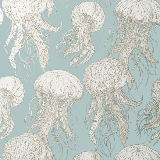 JELLY FISH BLOOM,Wallpaper