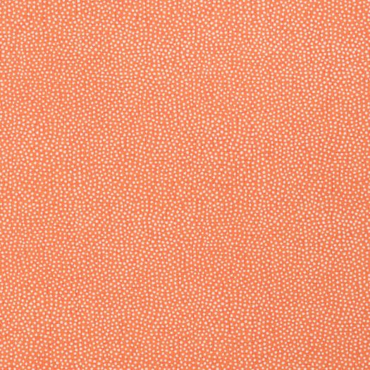 TURINI DOTS,Non Woven Wallpaper