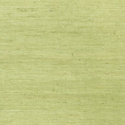 MARANTA ARROWROOT,Grasscloth Wallpaper