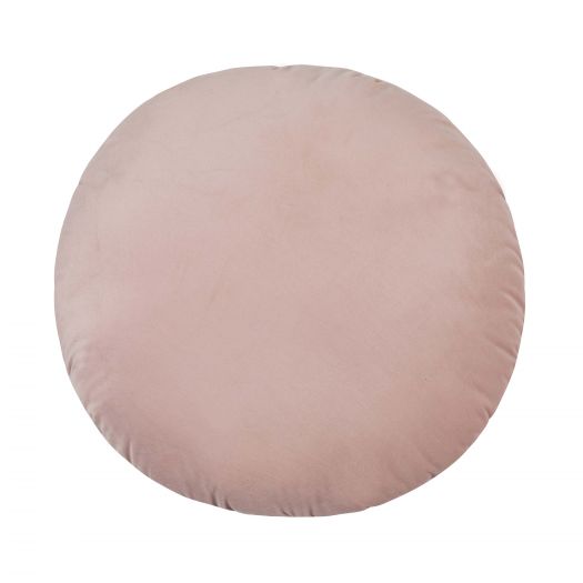 Potter 20" Blush Velvet Pillow