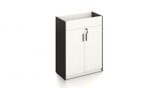 Secretary Low Cabinet
